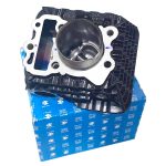 Kit Cilindro Piston y Anillos Pulsar Ns 125 Bajaj