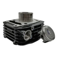 HnuaHDE4RXYx Kit de Cilindro y Pistón Completo VINI – Pulsar 150 DTS-i